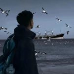 轻极的头像-轻极 · Hub